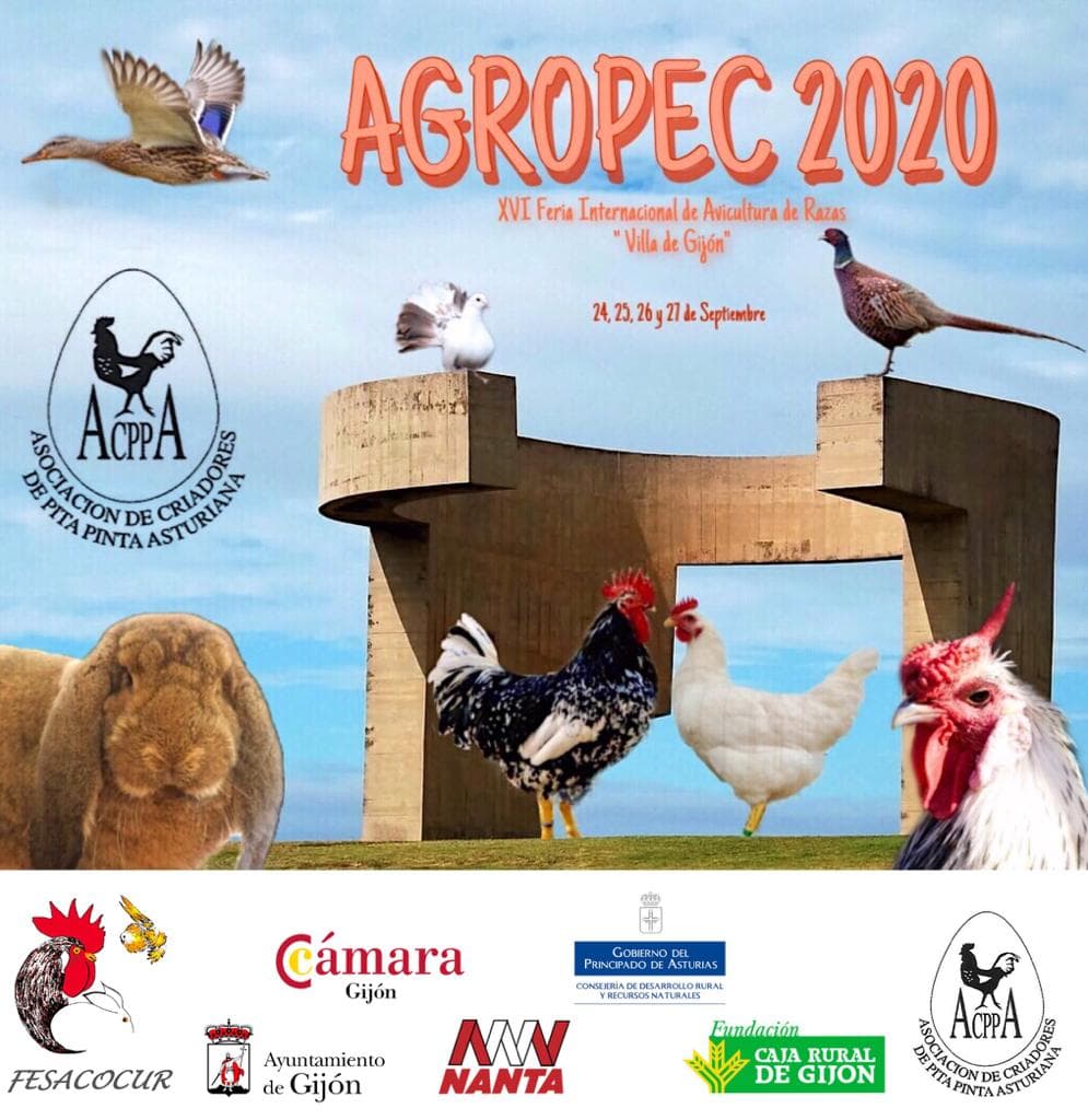 AGROPEC 2020