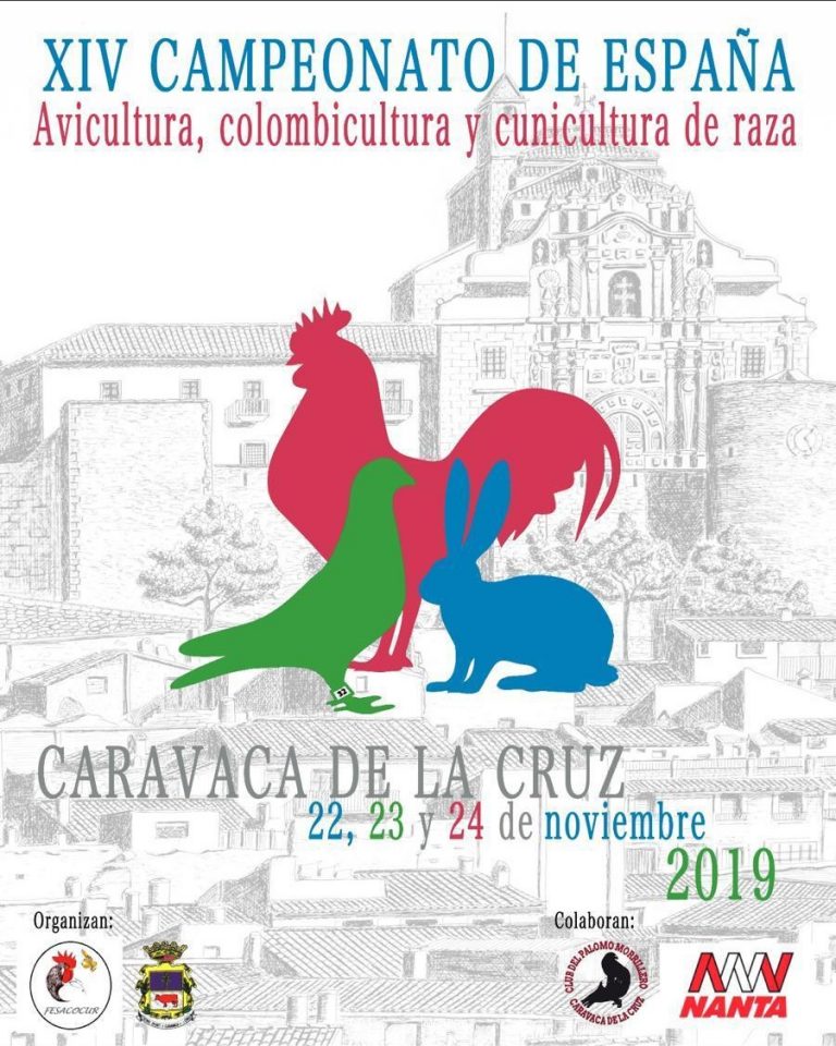 Caravaca de la Cruz 2019