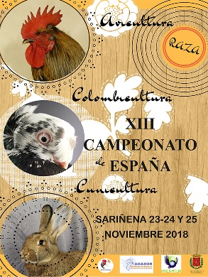 Sariñena 2018